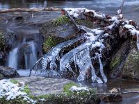 Eisgepanzerter, verzweigter Ast auf Felsen im Bachlauf